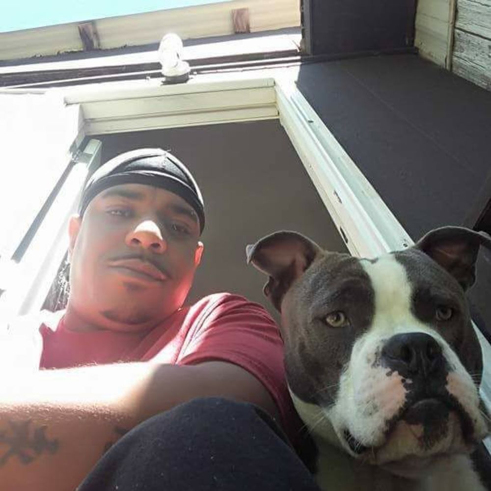 Meet your Posher, Terry